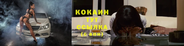 spice Алексин