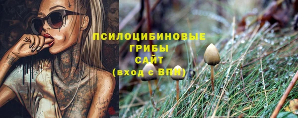 герыч Алзамай