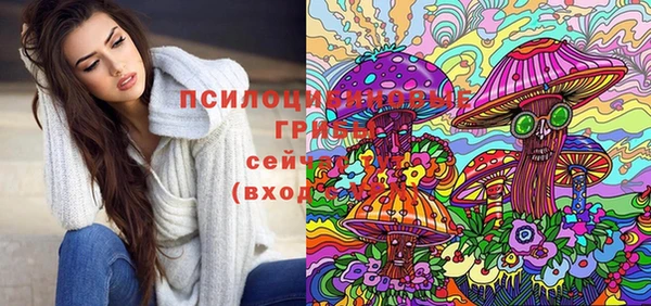 spice Алексин