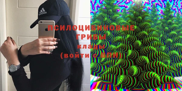 spice Алексин