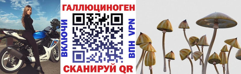 Псилоцибиновые грибы Cubensis  сайты даркнета телеграм  Кимры 